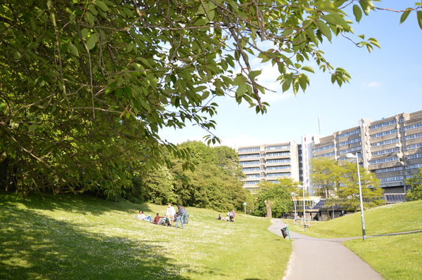 Campus de la Plaine - ULB-VUB