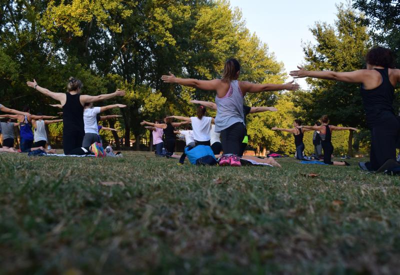 Rust, verademing en ontspanning in het park